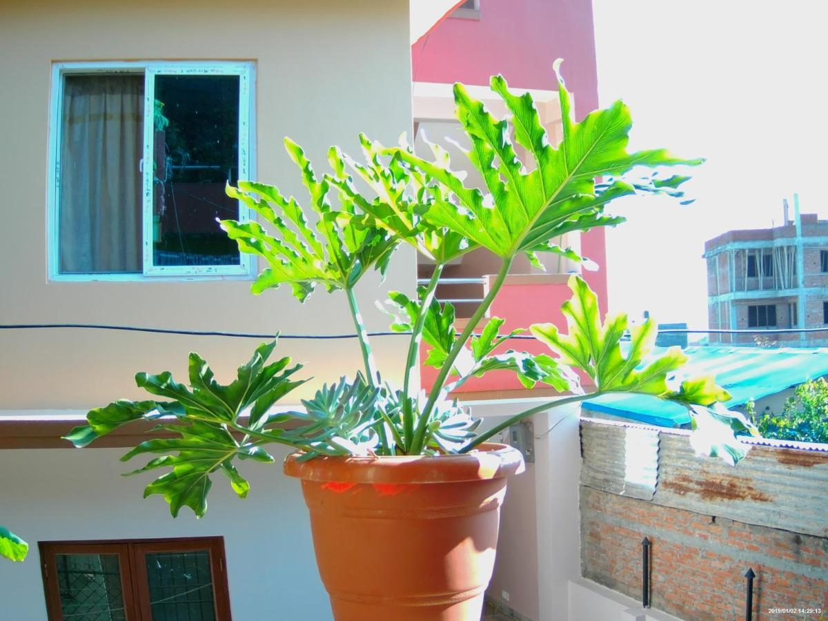 Everest Home Stay Apartment Lalitpur Exterior foto